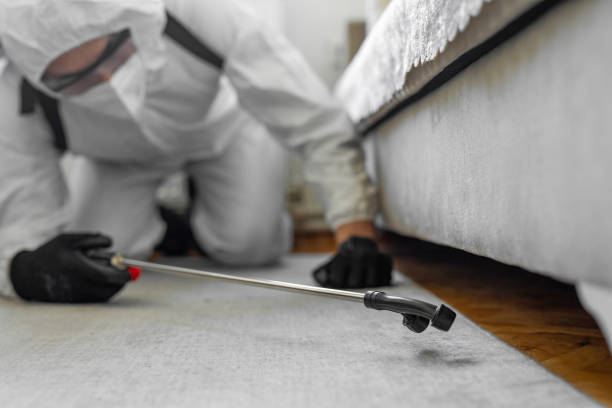 Professional Ant Control technician working in Oronoque, CT